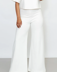 Wide Leg Ponte Knit Pant (More Colors)