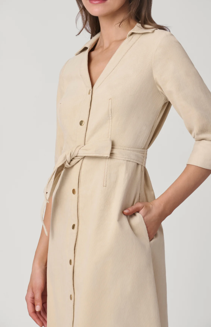 RAINE DRESS
